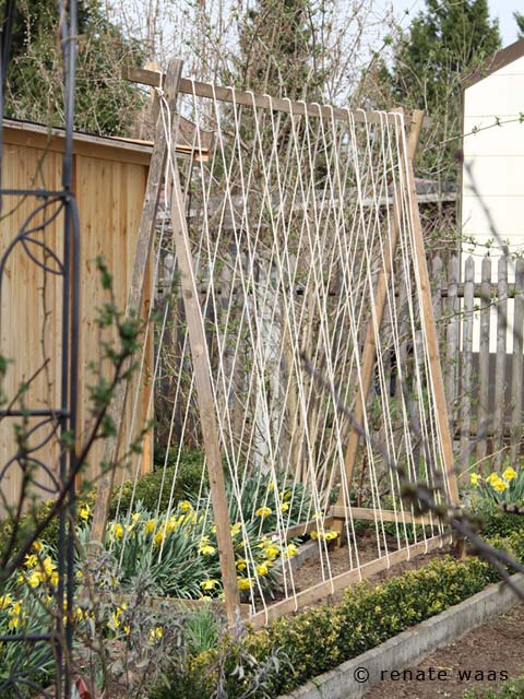 L Age Bleu Rosenpark Oktober 2013