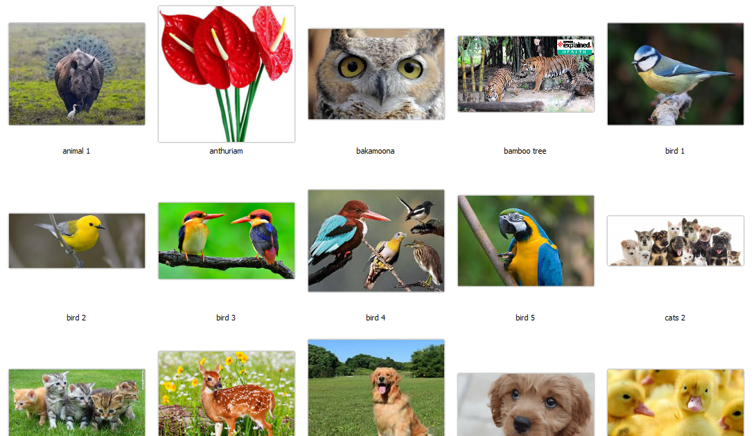 Data is everywhere, but? Image Analysis Orange Clustering Key