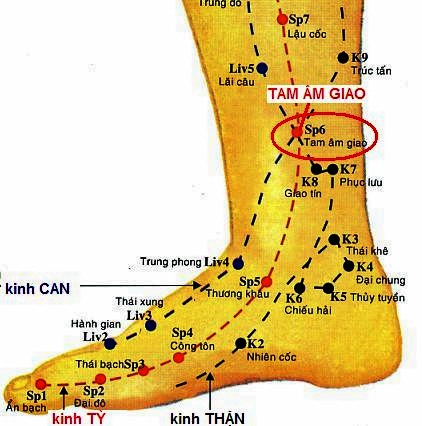 Vị trí huyệt tam âm giao