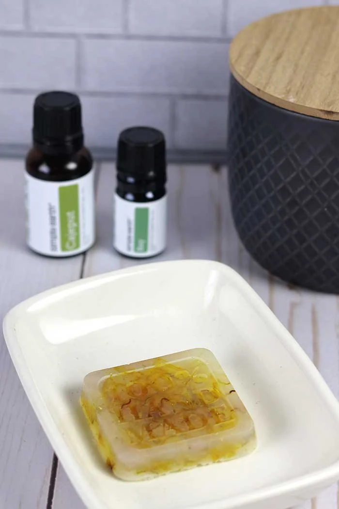 3 Easy Melt and Pour Soap Recipes Using Essential Oils Everything Pretty
