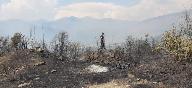 Σε εξέλιξη πυρκαγιά στη Λύβενα του Δήμου Φοινικαίων
