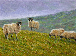 sheep painting paintings oil canvas landscape completed dickerson study