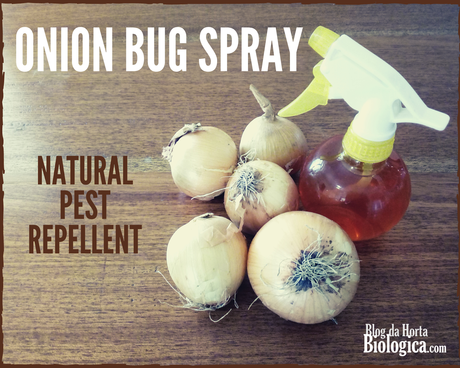 Onion Bug Spray Natural Pest Repellent