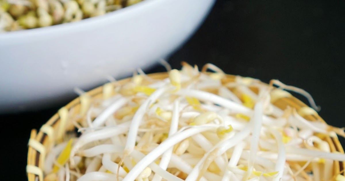 bean sprouts while pregnant bean sprouts while pregnant