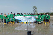 PT Timah Tbk Tanam 2000 Batang Mangrove di Kawasan Wisata Tanjung Pakdan