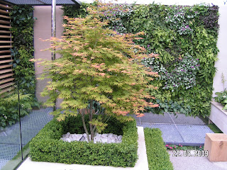 Gärtnertagebuch: Garten 1303: Ideen aus dem letzten Gespräch