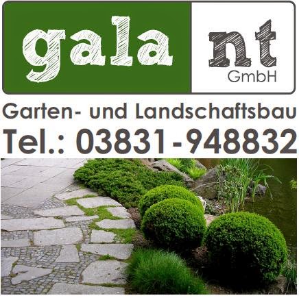 Logo galant GmbH Stralsund
