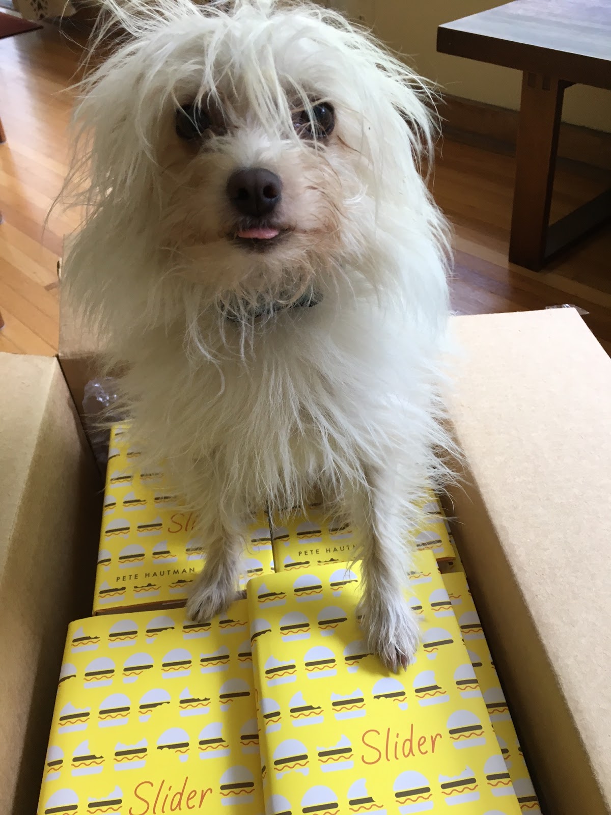 Pete Hautman says... Slider has Arrived