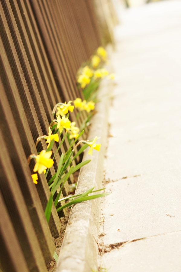 TYPISCH FÜR - Der Frühling ist da!