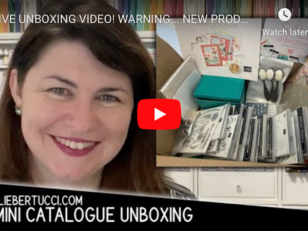 BRAND NEW PRODUCT UNBOXING! New Mini Catalogue products