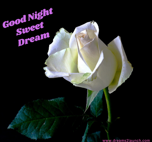good night rose good night rose