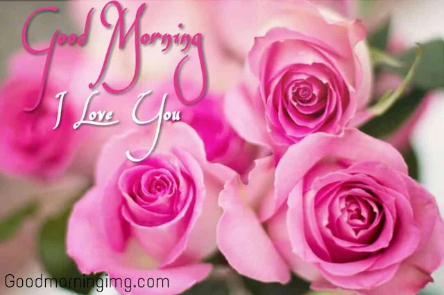 Good morning love rose images