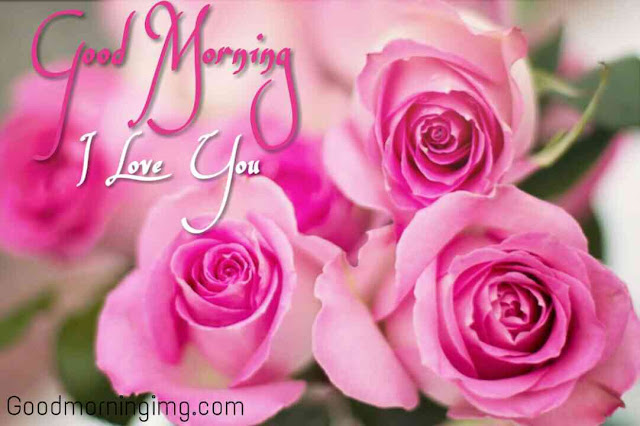 Good morning love rose images Good morning love rose images