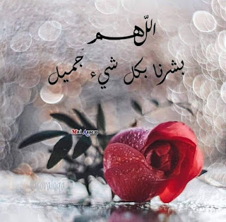 صور جميلة, صور جميلة للفيس بوك, صور فيسبوك, صور
