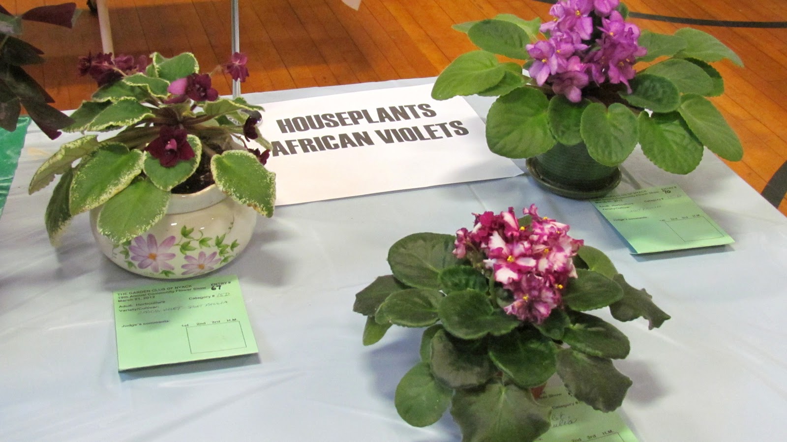Nyack Backyard Garden Club of Nyack Centennial Flower Show