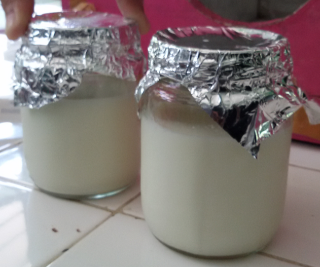 25 Inspirasi Keren Cara Membuat Yogurt Bioteknologi Anna K Cummings
