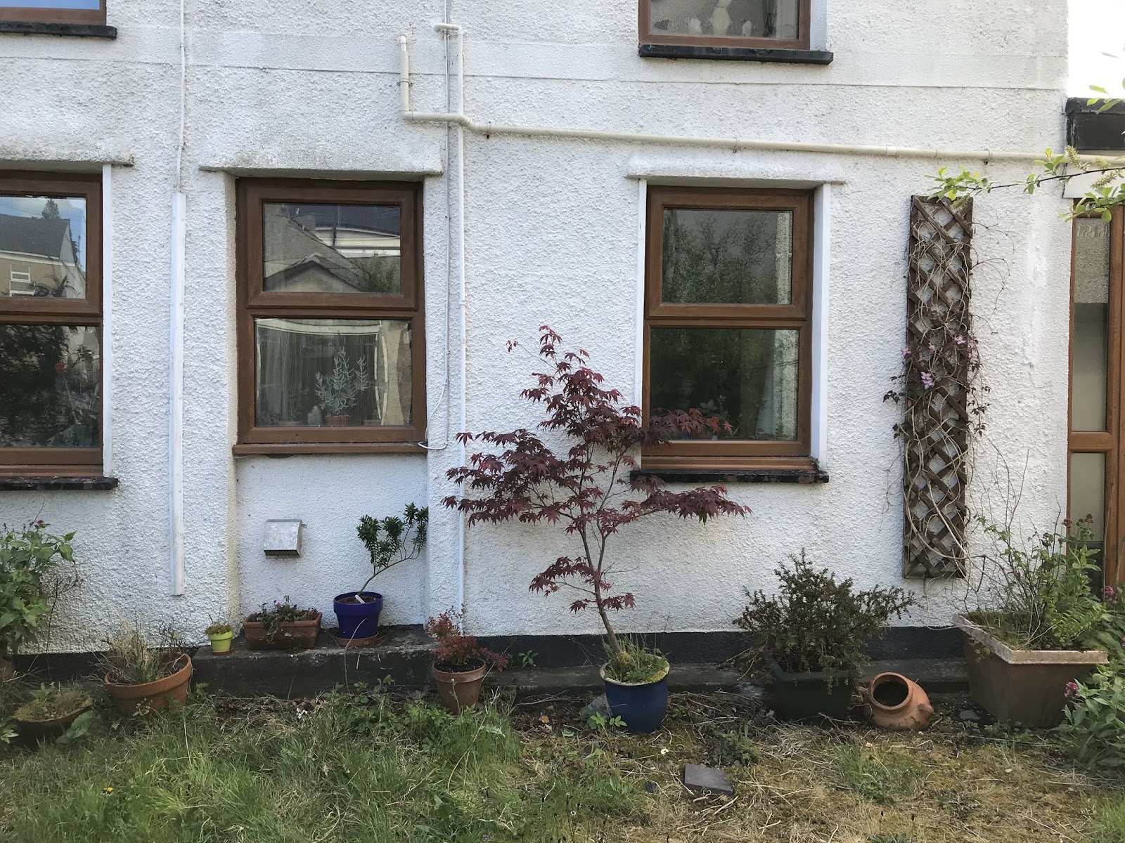 Margot's Blog Starting to make the front of the house look good