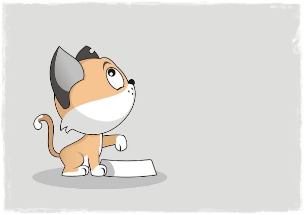 11 Makanan Berbahaya Untuk Kucing Peliharaan 11 Makanan Berbahaya Untuk Kucing Peliharaan