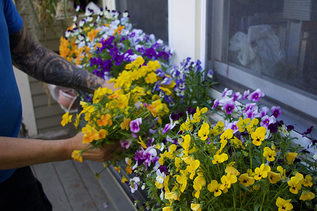 Lindaraxa Moonlight In The Garden