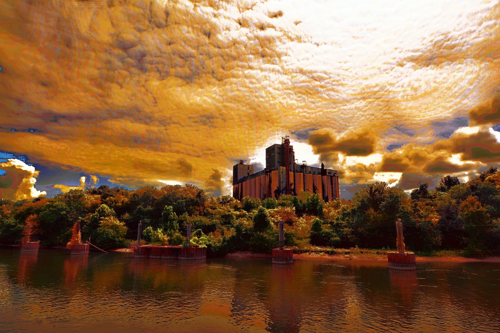 over hill n dale Chattanooga, TN Adventure and our New Family Member