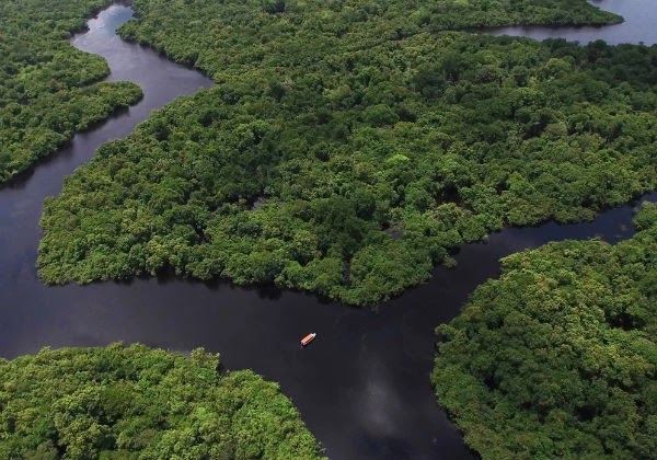 Ministra alemã diz que vai suspender investimento milionário na Amazônia Segundo a Svenja Schulze, o forte aumento do desmatamento na Amazônia brasileira seria o principal motivo para o desinteresse no investimento de R$ 155 milhões