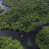 MEIO AMBIENTE / Ministra alemã diz que vai suspender investimento milionário na Amazônia