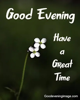 Good Evening Flowers pictures Good Evening Flowers pictures