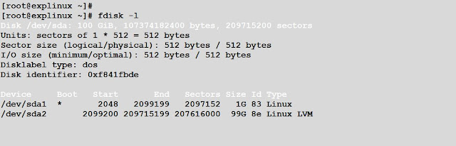 check disk using fdisk