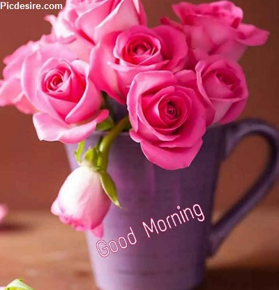 25+ Good morning wishes with Flowers Images 25+ Good morning wishes with Flowers Images