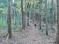 Pendakian Bukit Watu Jengger Mojokerto