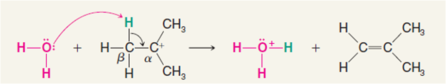 MEKANISME REAKSI ELIMINASI E1