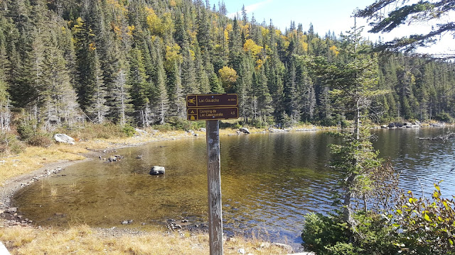 Lac Gouache Lac Gouache