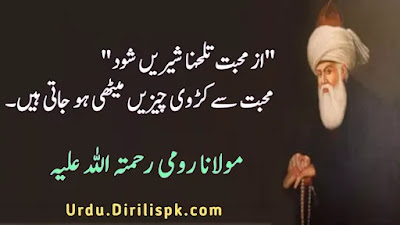 Rumi Quotes in Urdu