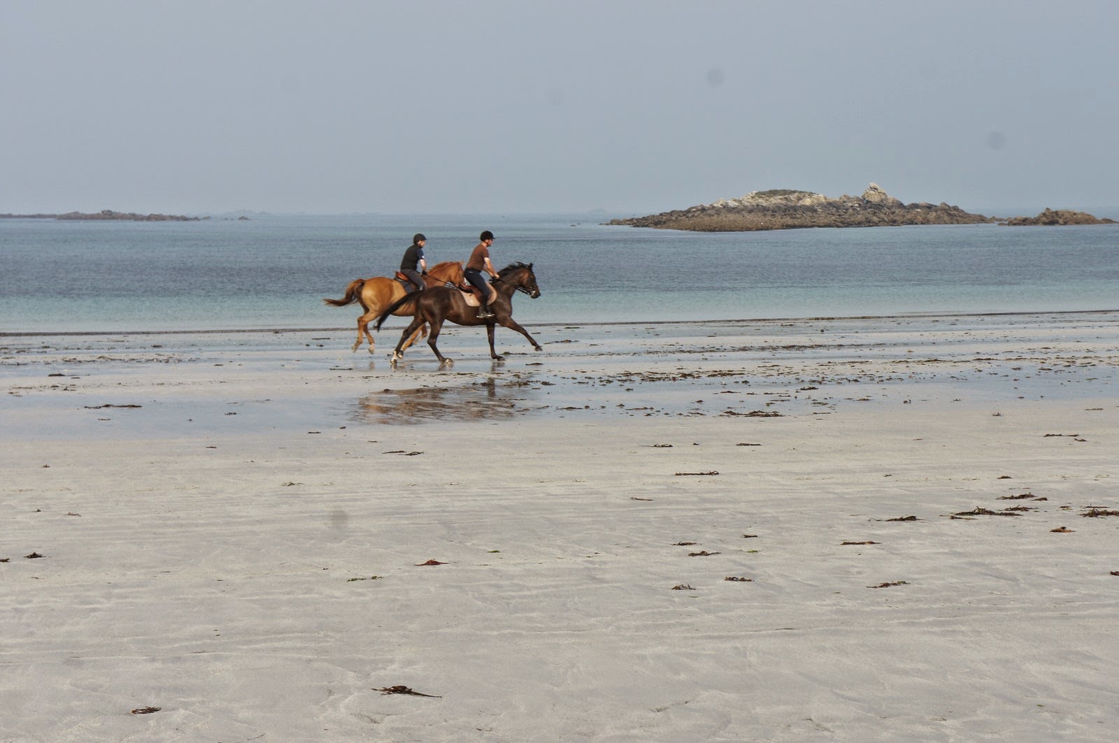 ecuries-coursin-vacances