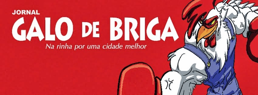 Galo de Briga