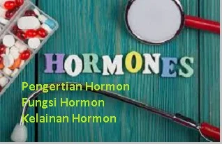 fungsi dan kelainan hormon