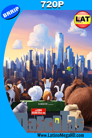 La Vida Secreta De Tus Mascotas (2016) Latino HD 720p (2016)