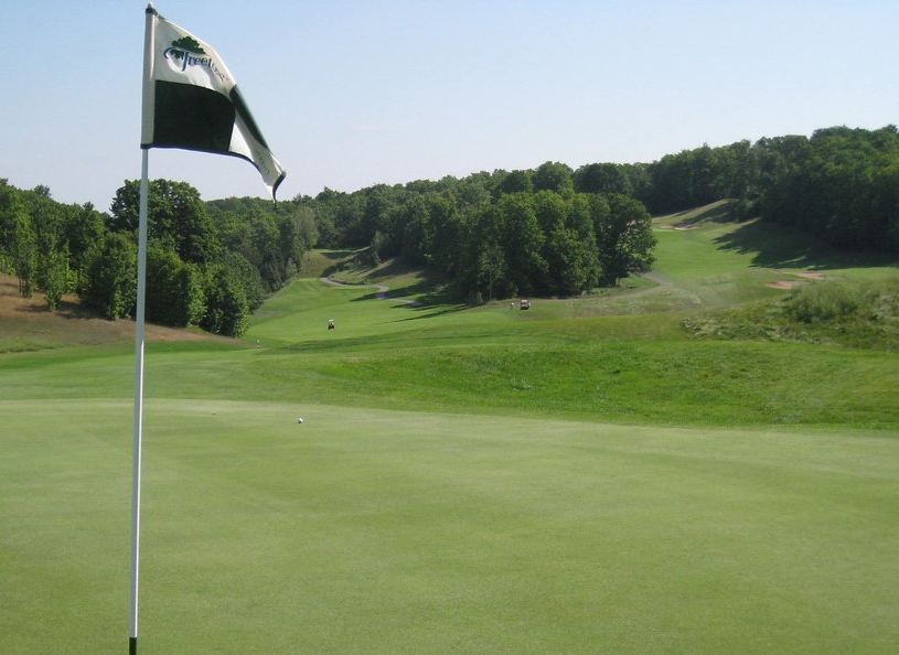 What Is a Grass Bunker in Golf?