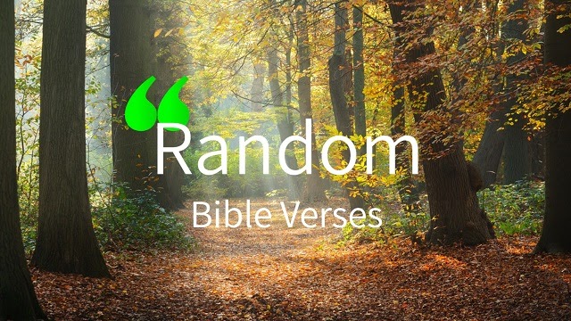 random bible verse