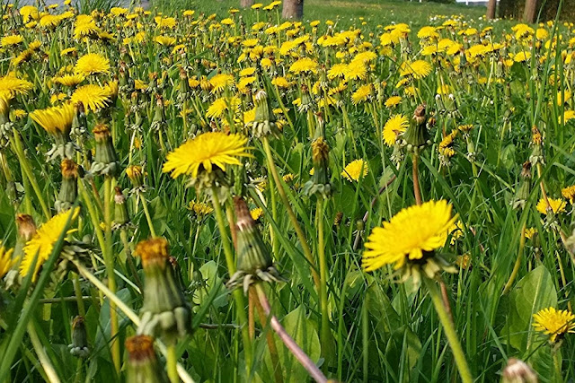 Hamburg Ahoi Auch Bei Schiet Wetter Schon Hellrosagrau De