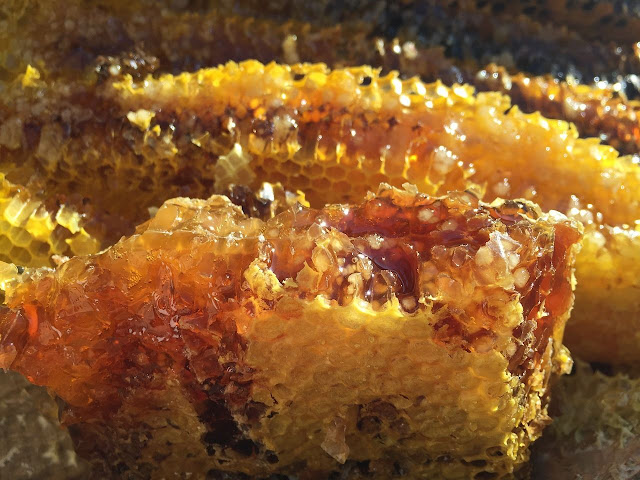 Secrets de beauté : le Miel en cosmétique - Choisir son miel - Blog beauté Les Mousquetettes