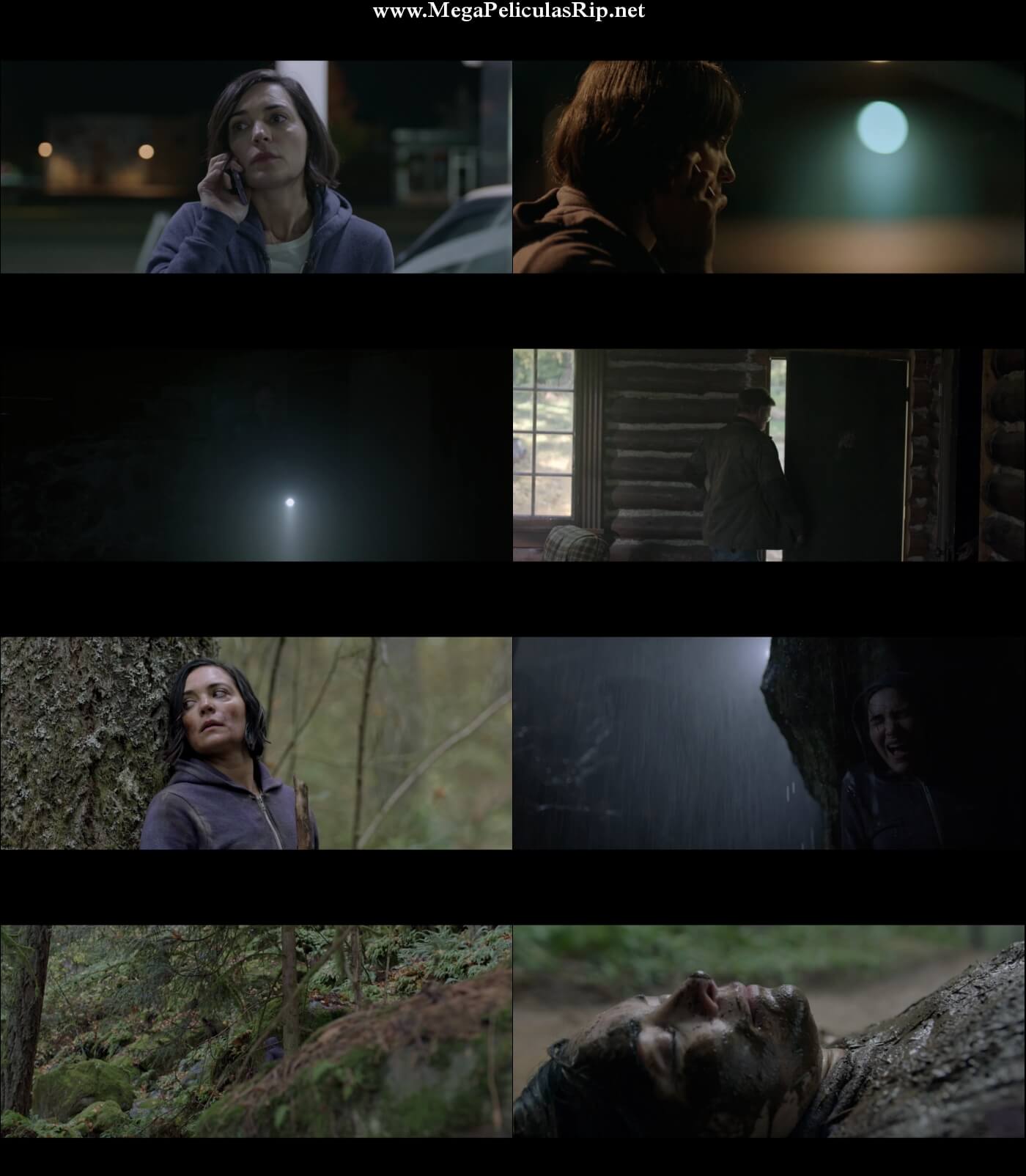 Alone 1080p Latino