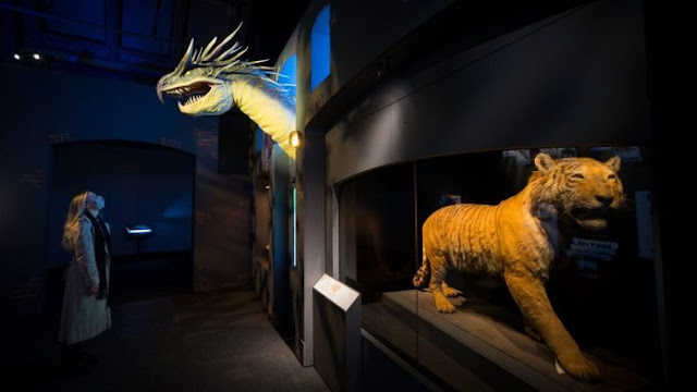 Los animales fantásticos de J.K. Rowling toman vida en un museo de Londres