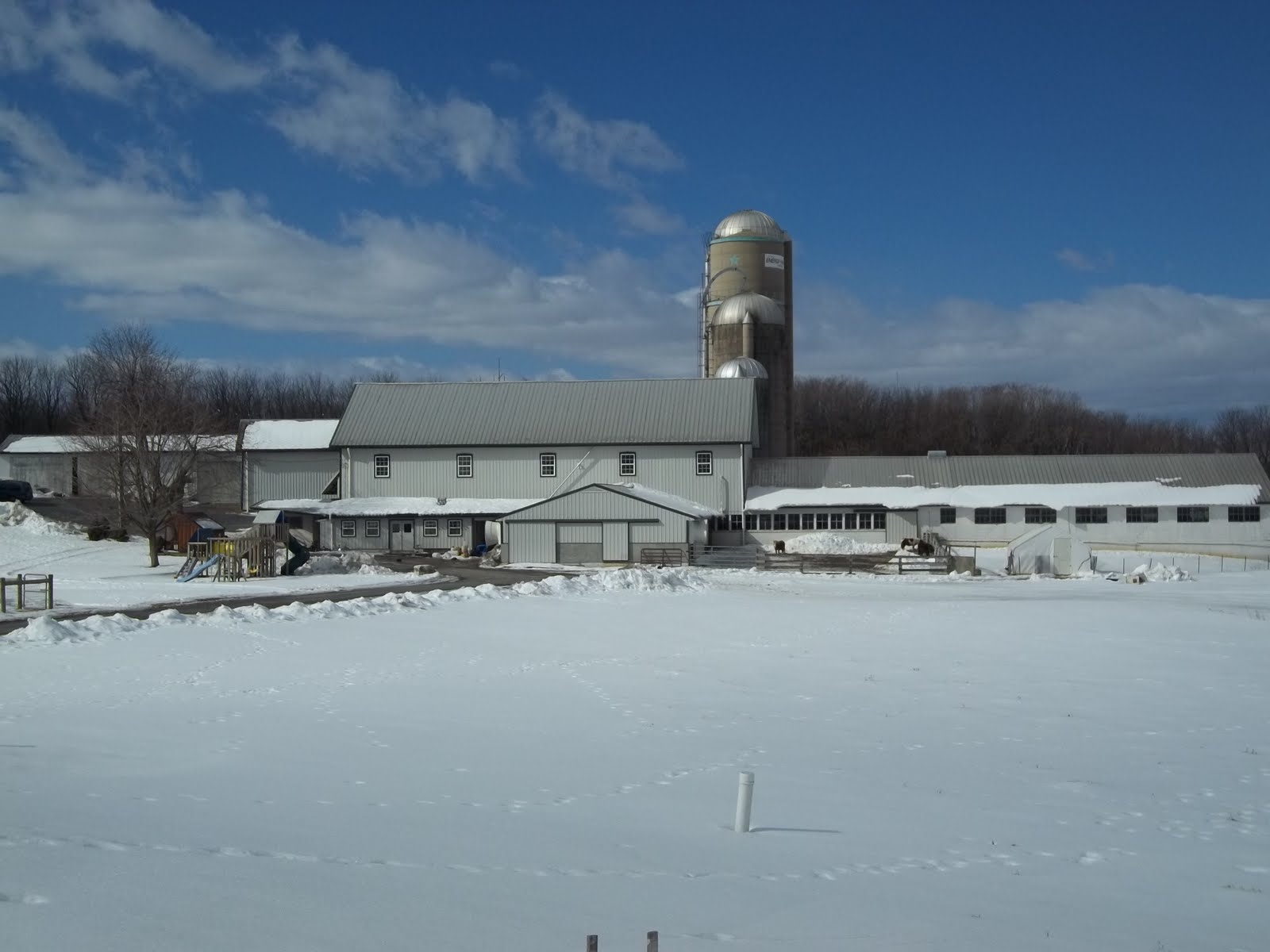 Pure Country Living A local family owned dairy farm in Lebanon ,pa