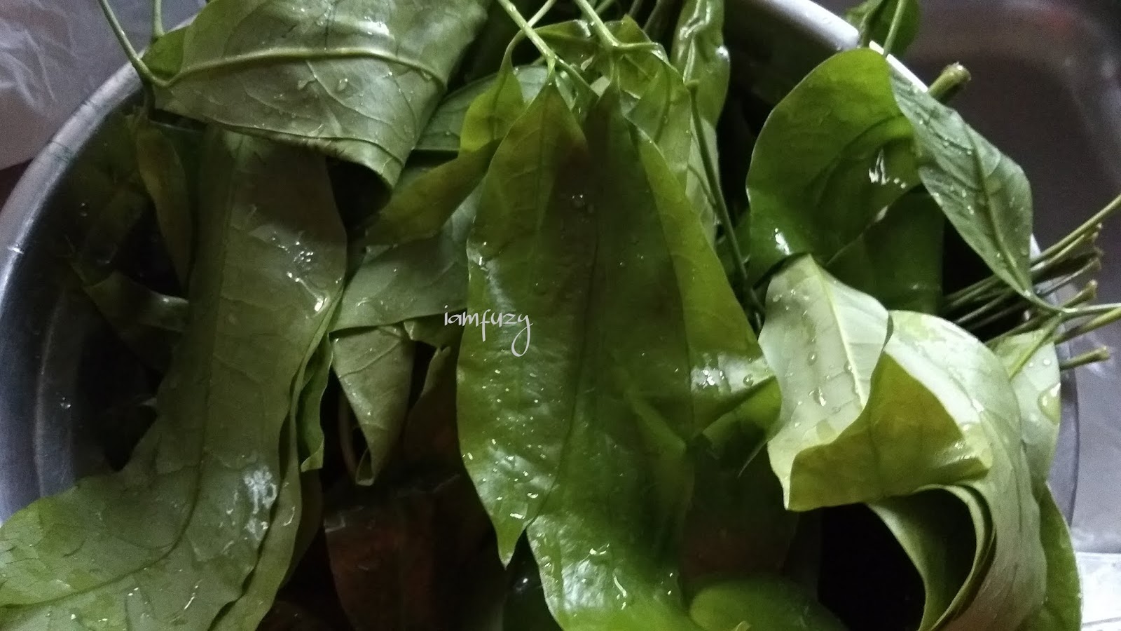 Resepi Masak Lemak Pucuk Belinjau Blogiamfuzy Lifestyle Blog
