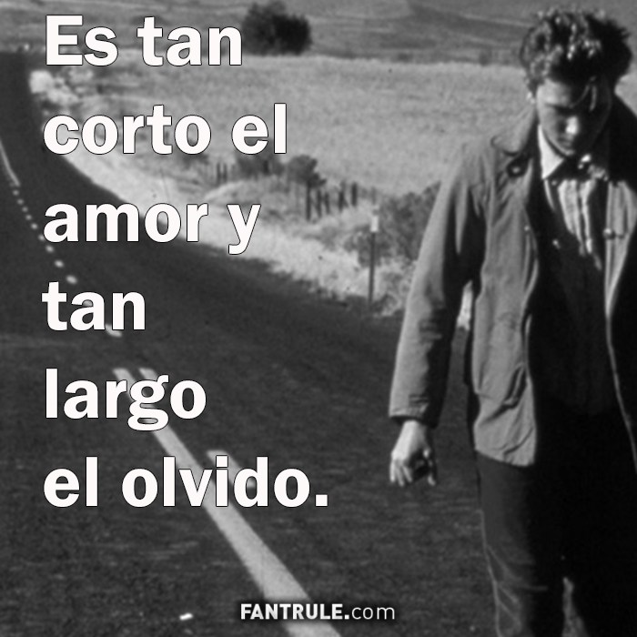 imagenes para perfil foto olvido desamor