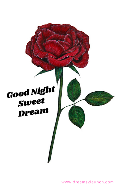 good night red rose