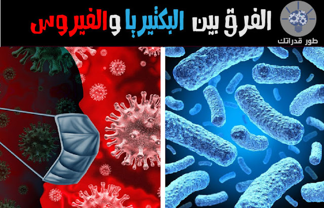 الفرق بين البكتيريا والفيروس
