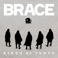 [2016] - Brace