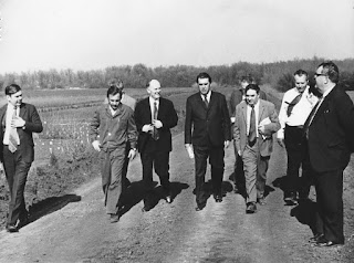 Почему кола выполнял требования короля в сказке кола рыба коротко 7